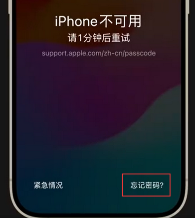 江山苹果手机密码维修分享iPhone忘记了刚设置的密码 